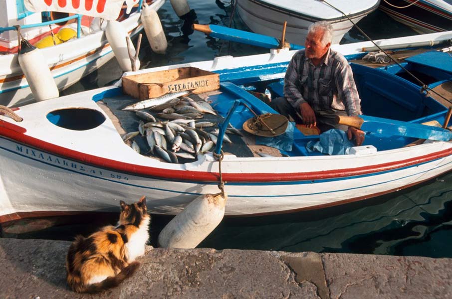 Ein Fischer in seinem Boot auf der Saronischen Insel Hydra – Früher gab es viele Fischer in Griechenland, aber heutzutage werden immer mehr Fischerboote aufgegeben oder verkauft.