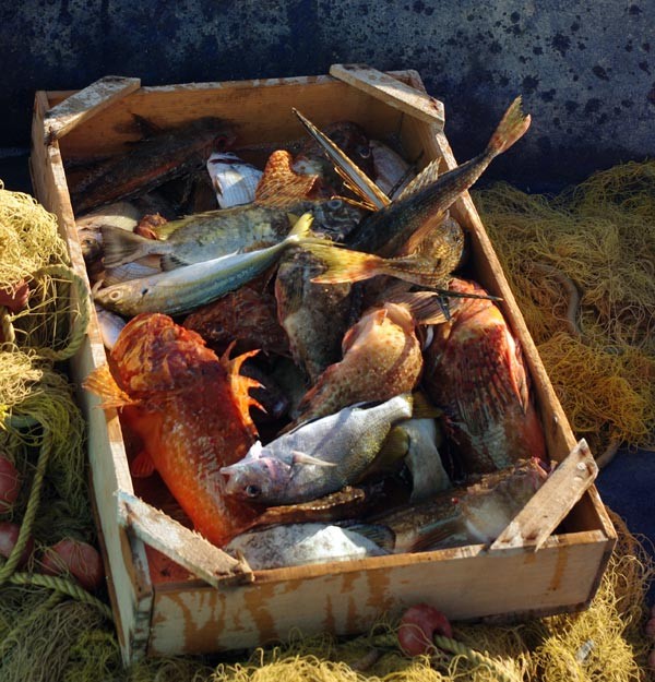 Fischfang in dem Fischer-, Bade- und Touristenort Tolo, Peloponnes – Früher gab es viele Fischer in Griechenland, aber heutzutage werden immer mehr Fischerboote aufgegeben oder verkauft.