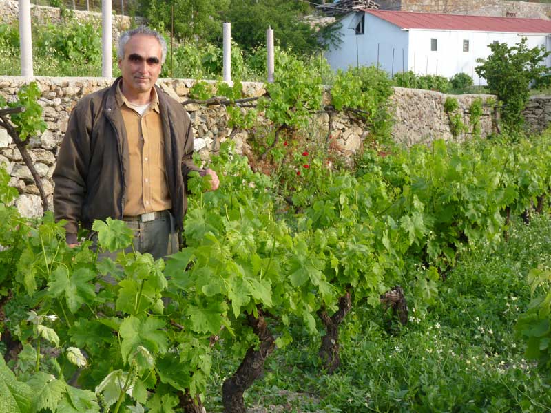 Weingut Karimalis, Ikaria - Das Weingut, der Bio-Bauernhof und die Agrotouristen-Einheit wurden von George Karimalis und seiner Frau Eleni gegründet.